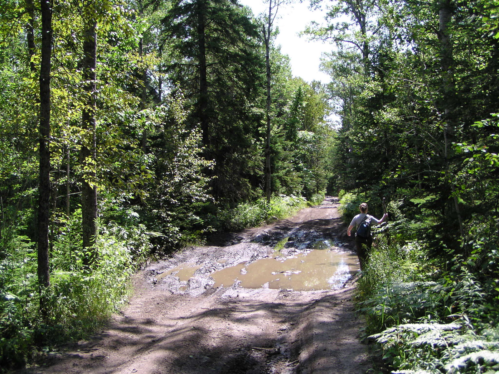P8150007