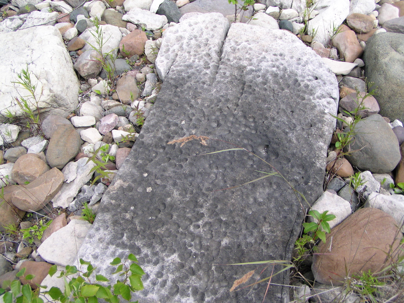 P8130115