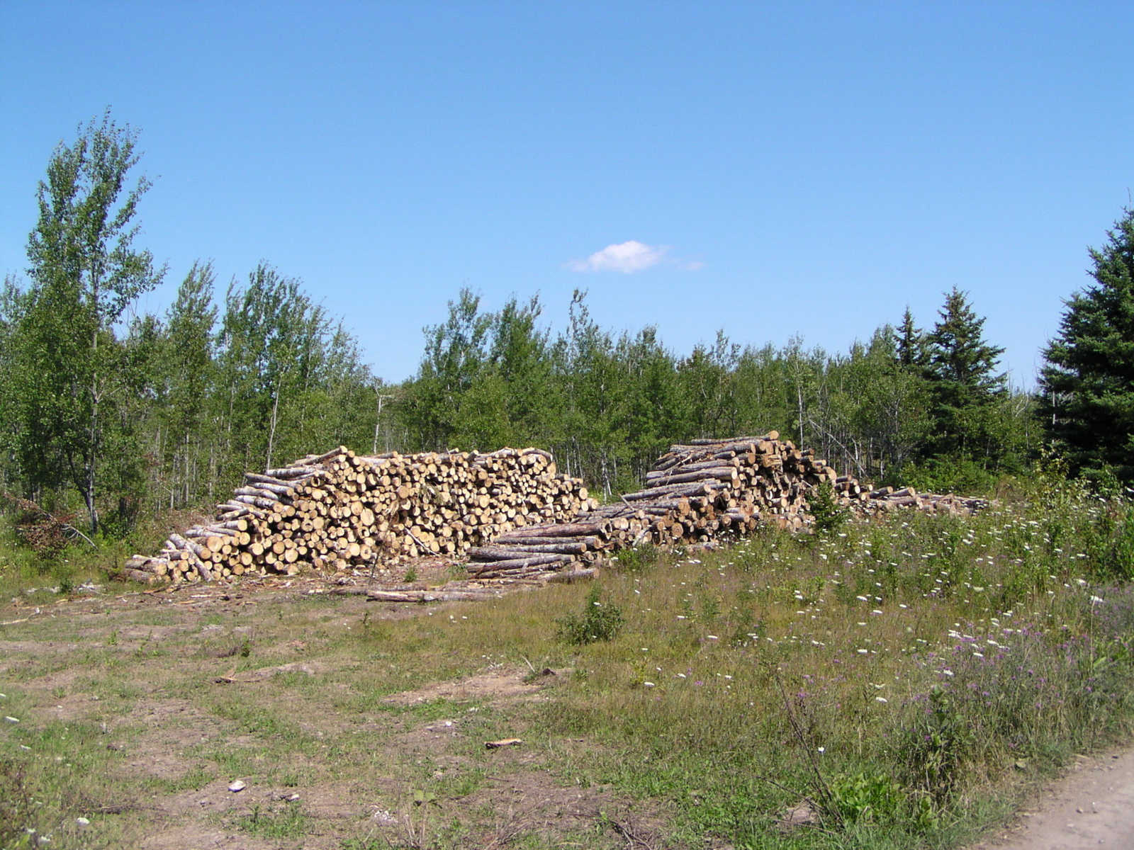 P8150015