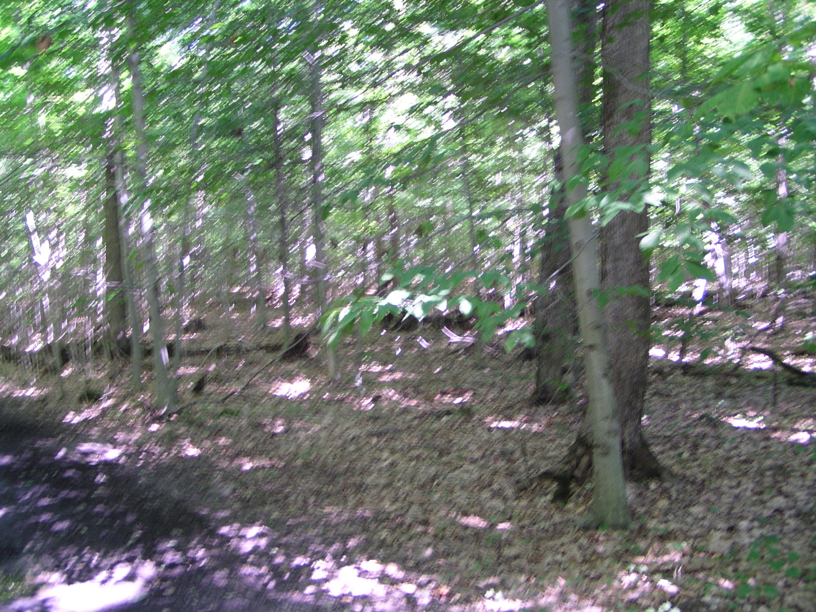 P8150020