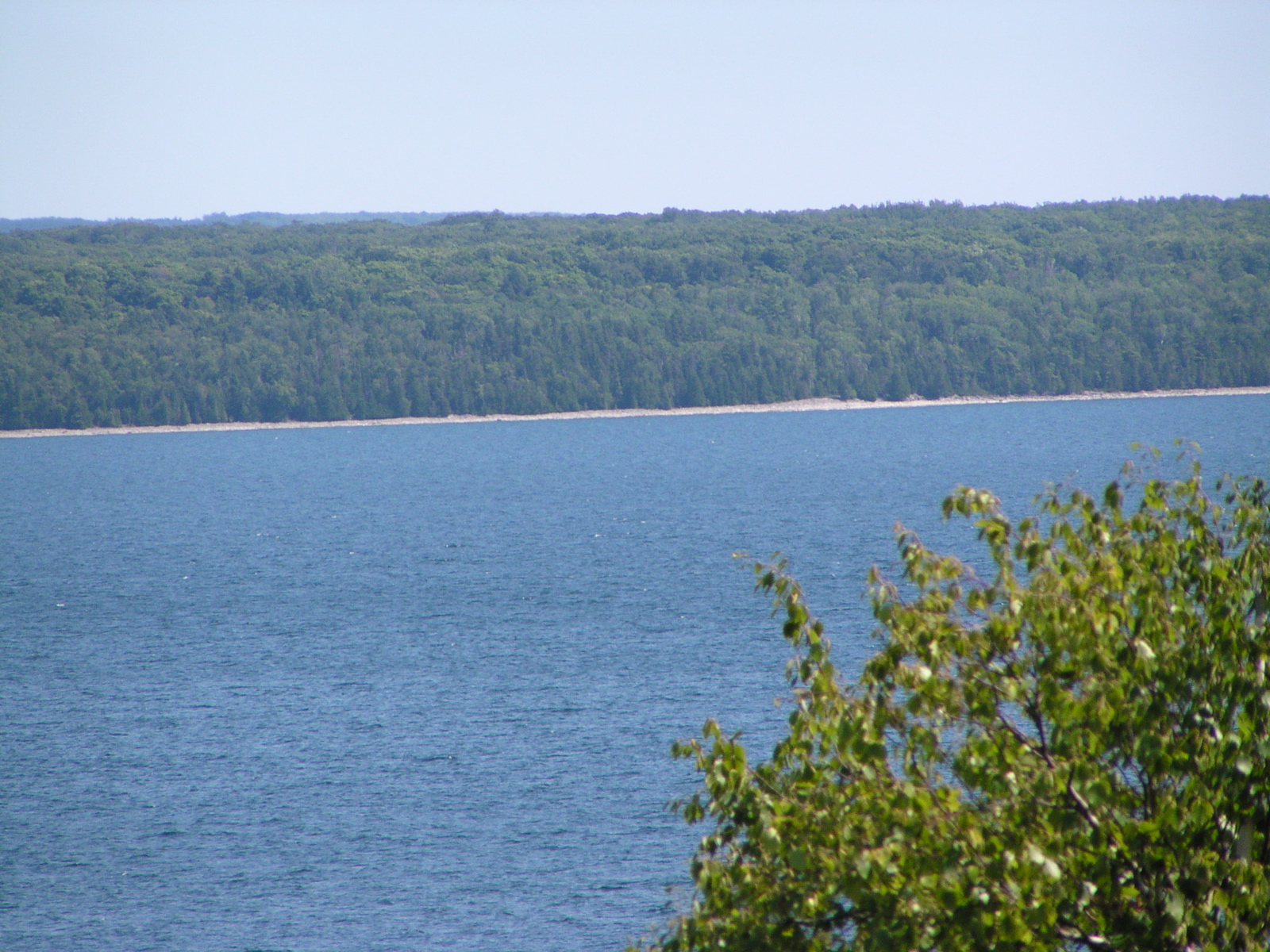 P8150038