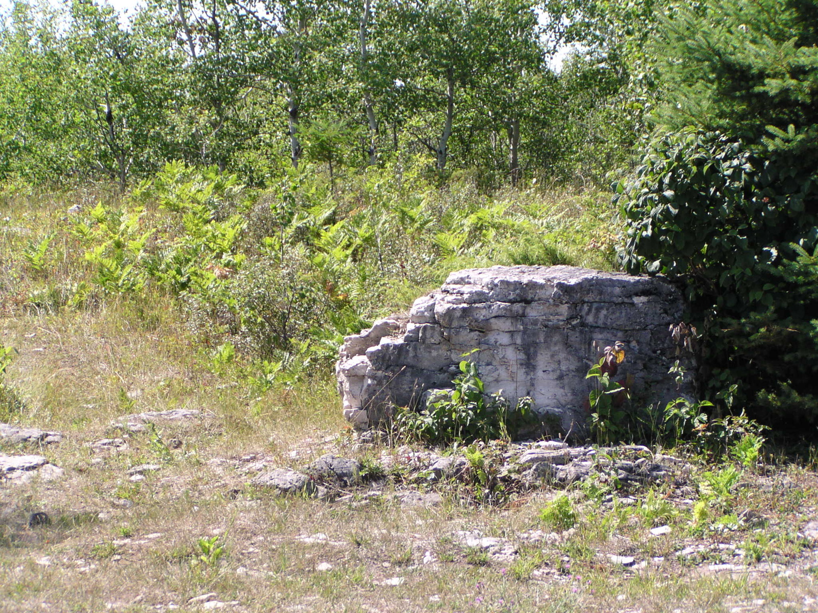 P8150047