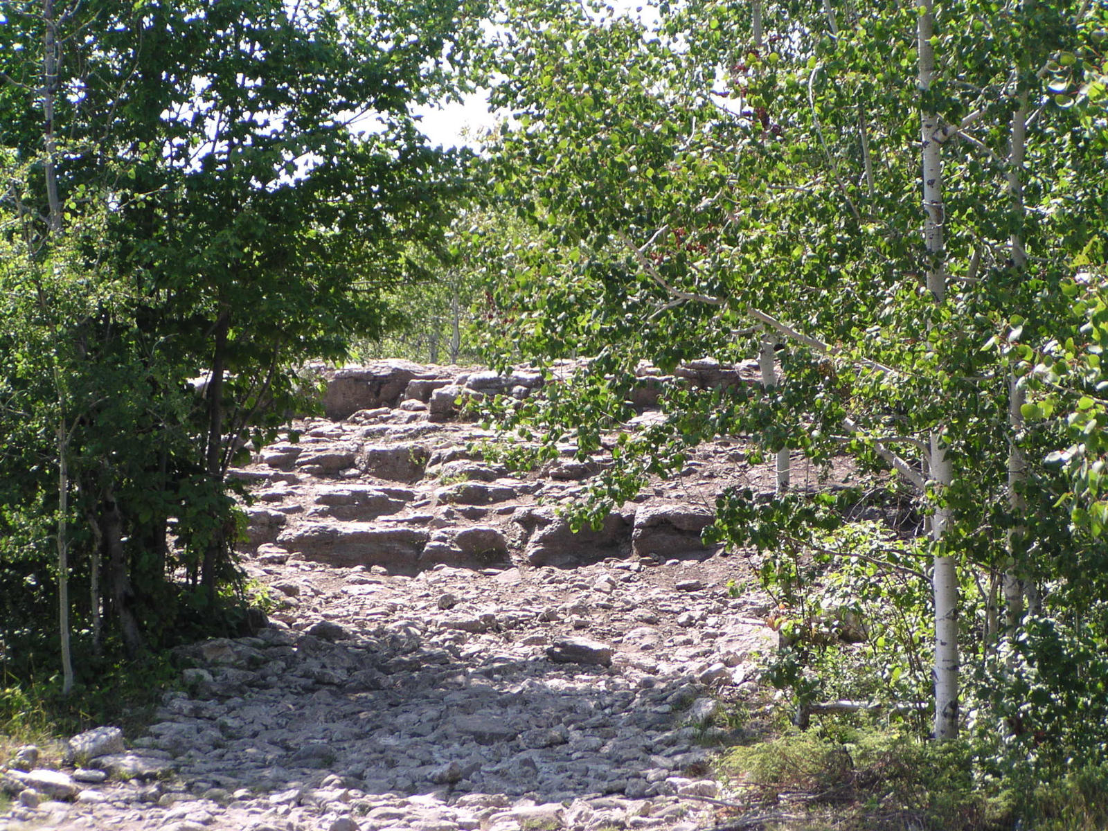 P8150053
