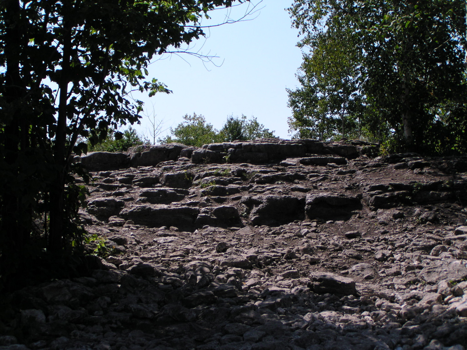 P8150055