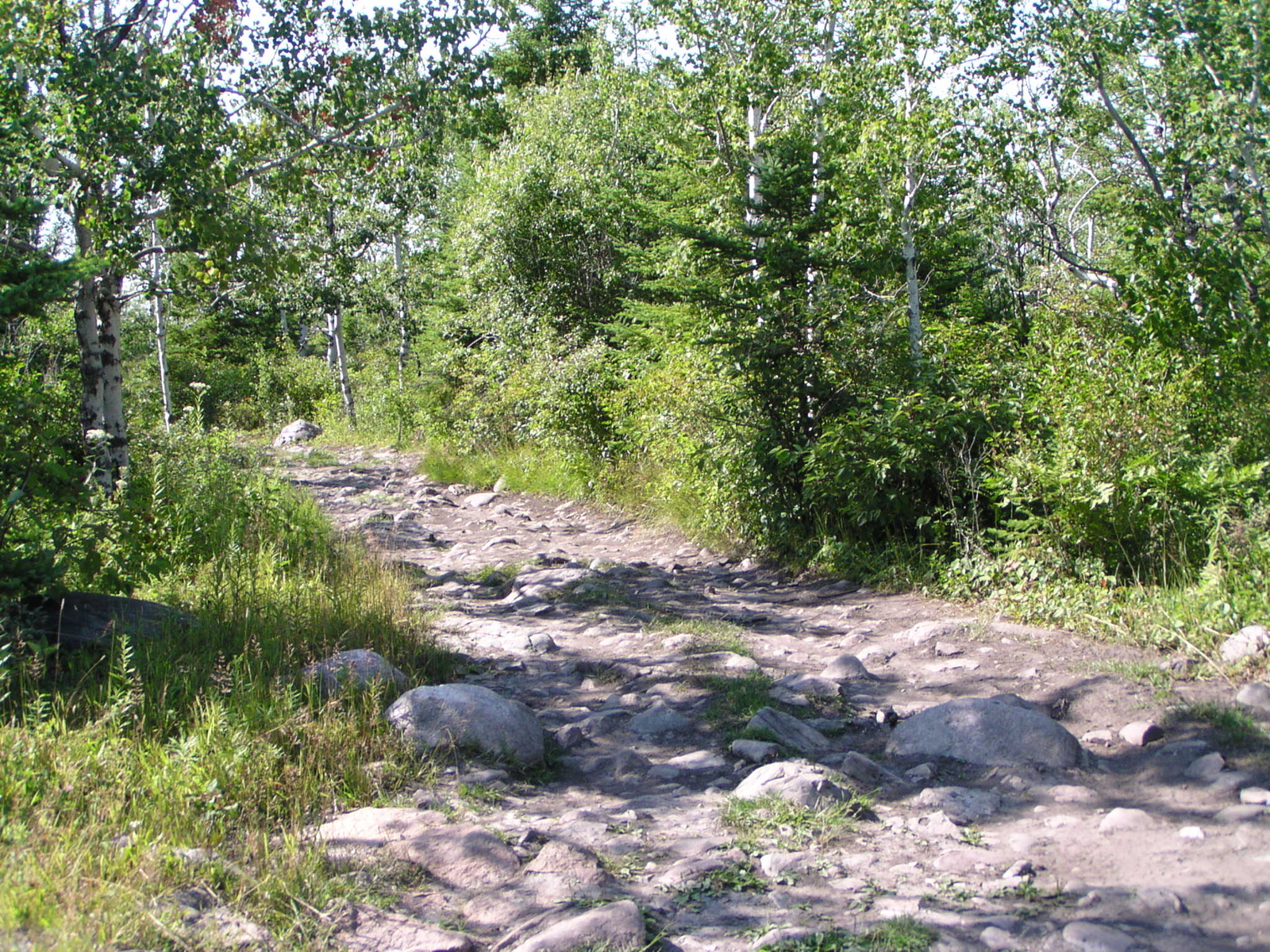 P8150070