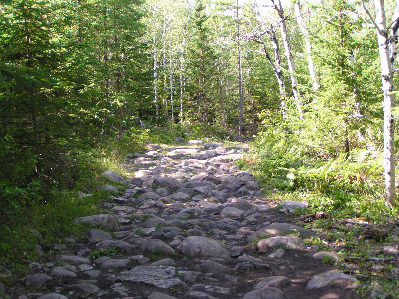 P8150077