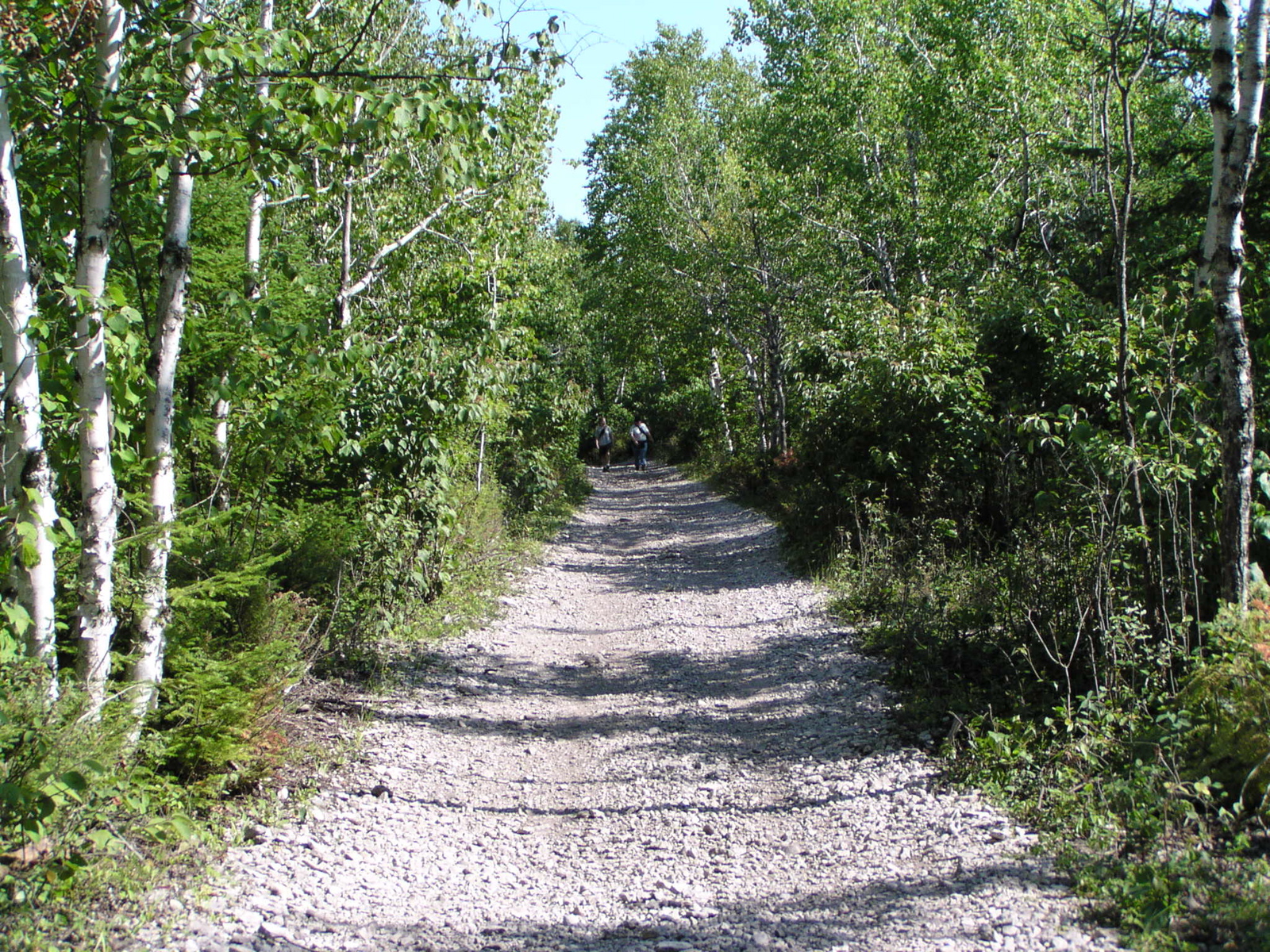 P8150079