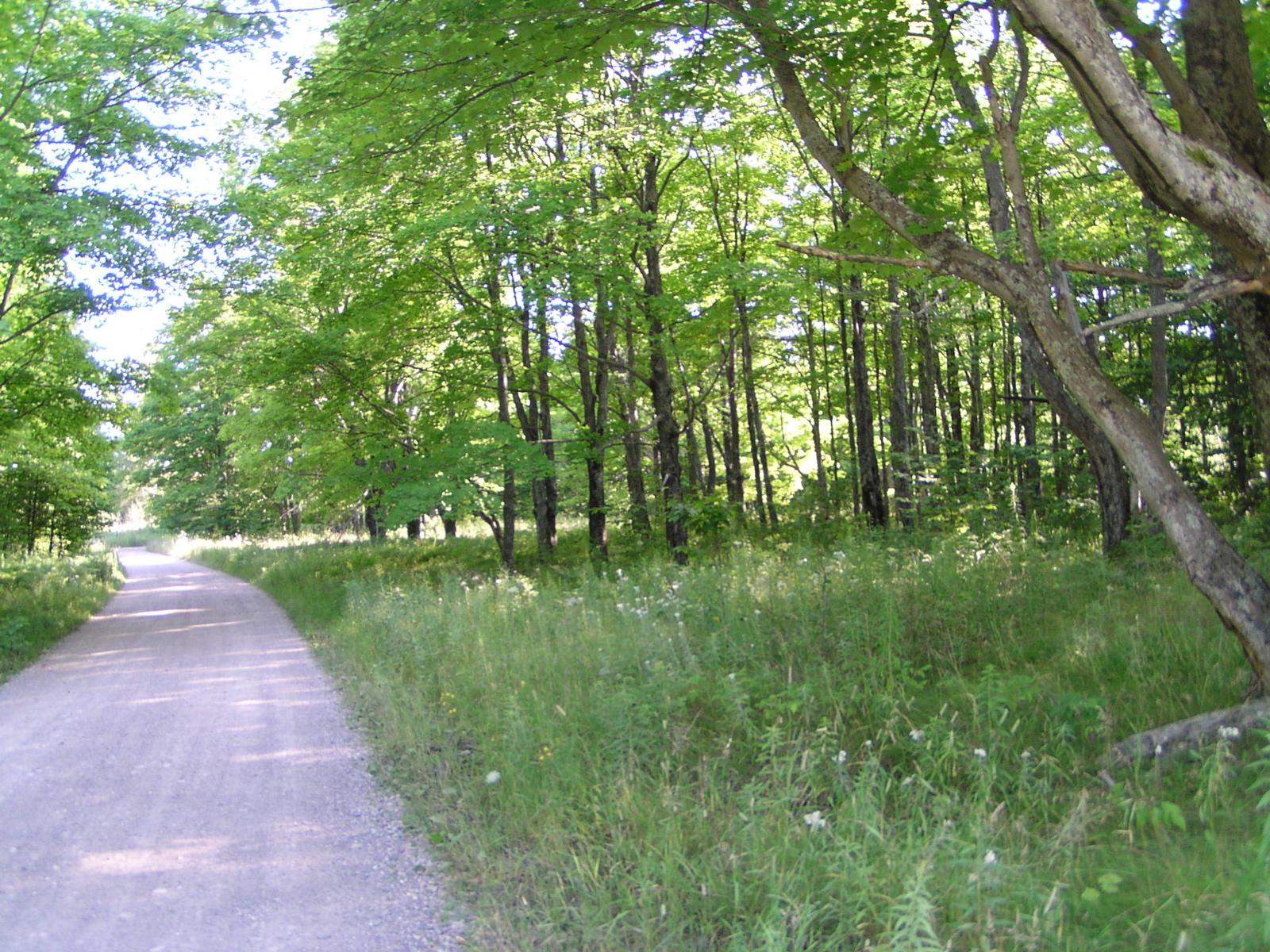 P8150098