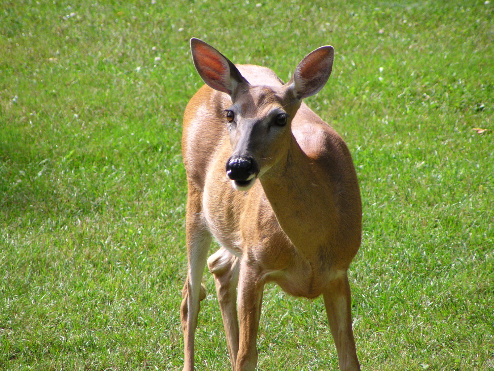 P8160145