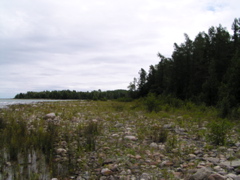 P8130103