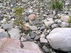 P8130113