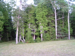 P8140219