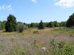 P8150002