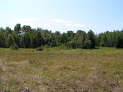P8150003