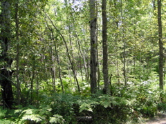 P8150008
