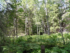P8150009