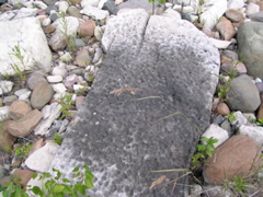 P8130115