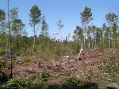 P8150014