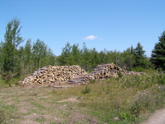 P8150015