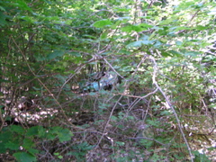 P8150021
