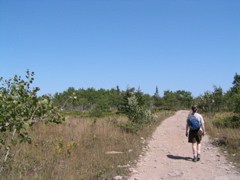 P8150023