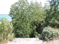 P8150025
