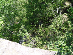 P8150029