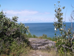 P8150030