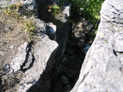 P8150031