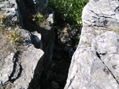 P8150032