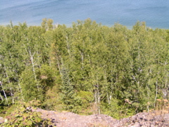 P8150034