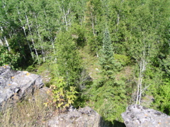 P8150036