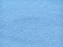 P8150044