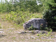 P8150047