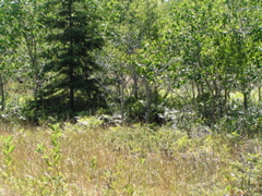 P8150049