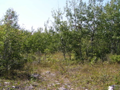 P8150050