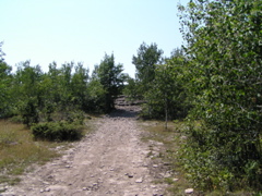P8150052
