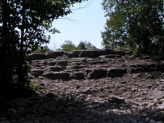 P8150055