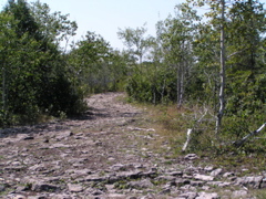 P8150056
