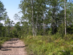 P8150057