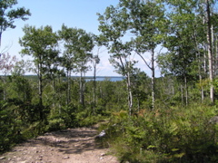 P8150058