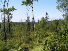 P8150060