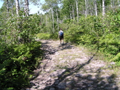 P8150061