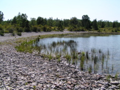 P8150064