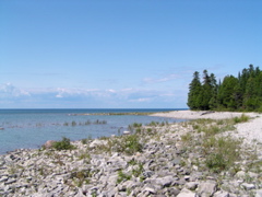 P8150066