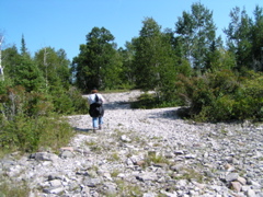 P8150067