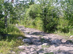 P8150070