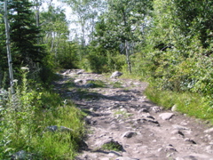 P8150071