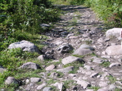 P8150073