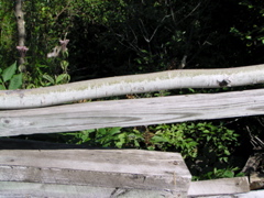 P8150076